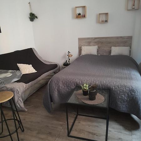 Studio Cosy Proche Centre Mpl/ Pk Gratuit Μονπελιέ Εξωτερικό φωτογραφία